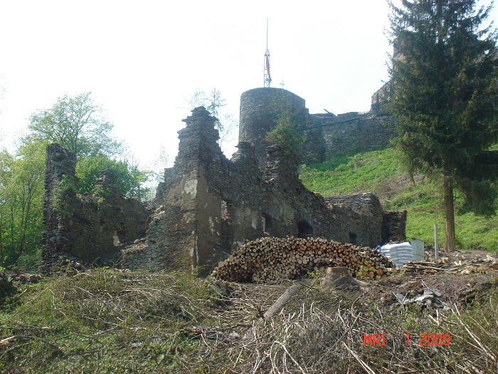 Schlägerung 072